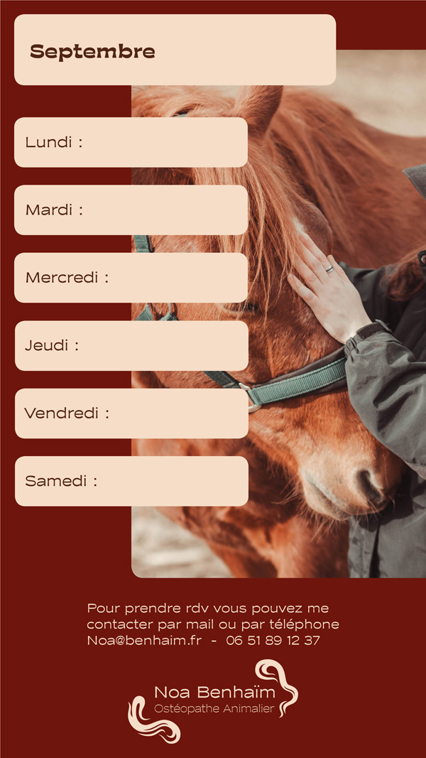 CHARTE GRAPHIQUE OSTEOPATHE PAR MANON KNASKO